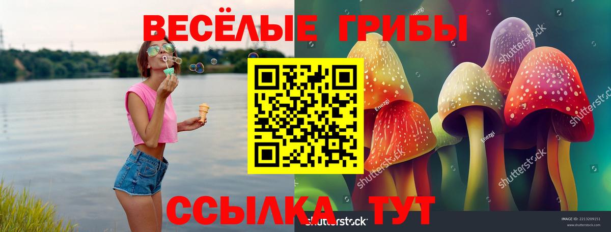 Галлюциногенные грибы Psilocybe  даркнет сайт  Шелехов  Вход с VPN 